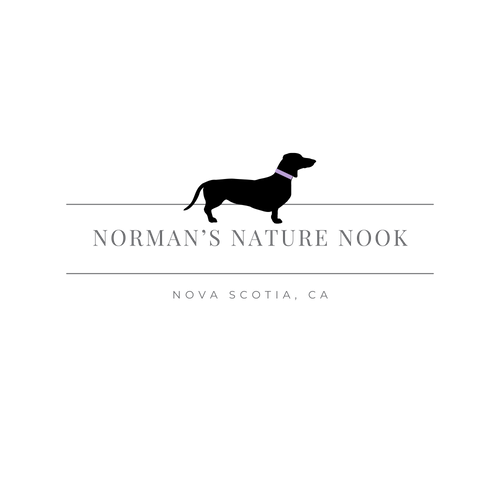 Norman's Nature Nook