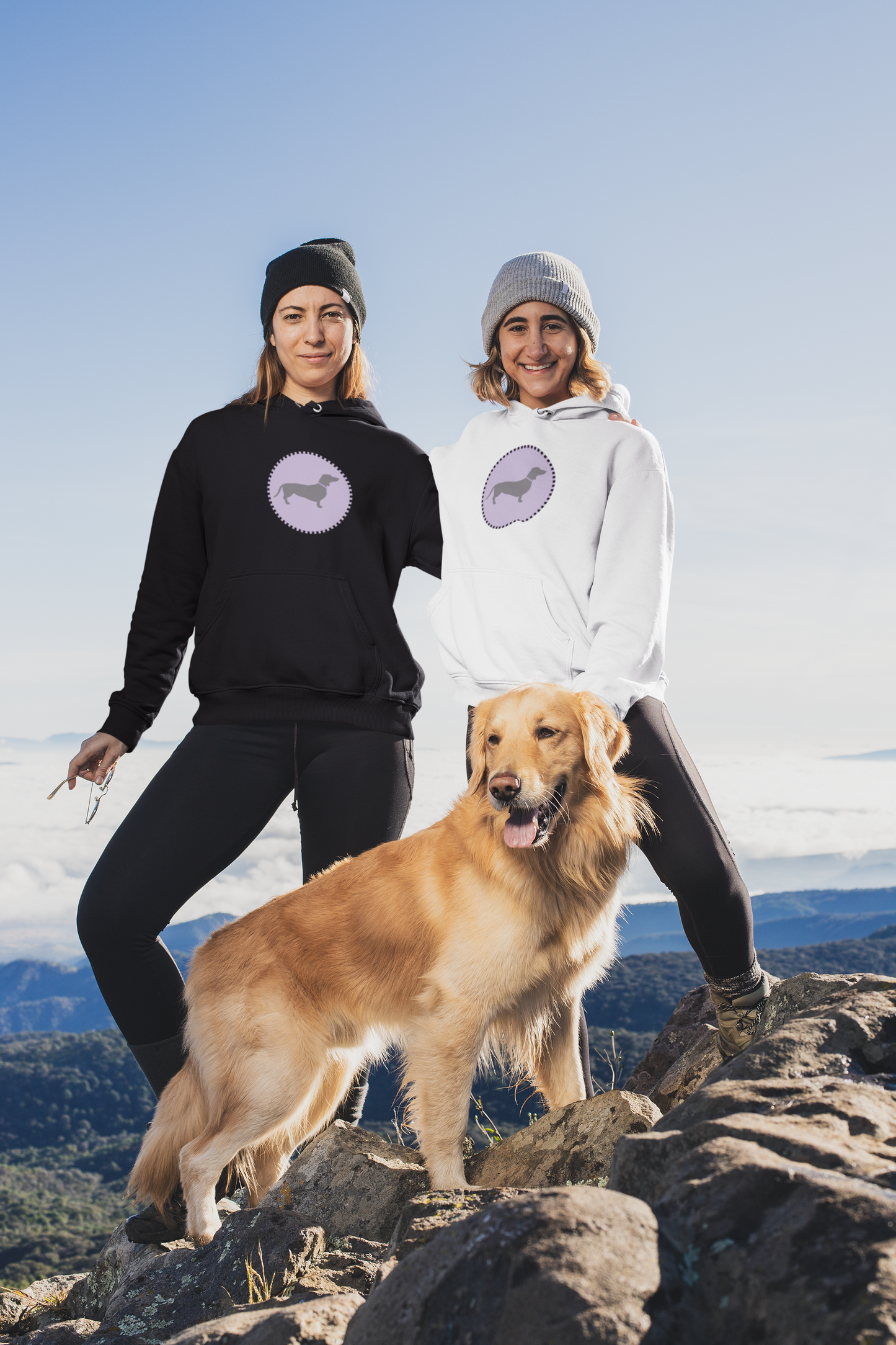 Dachshund - Hoodie (4 Colour Options)